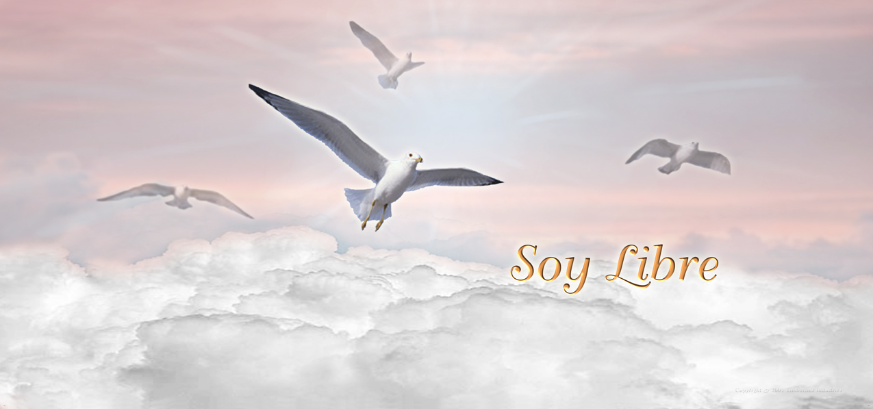 HP-AG-201-PK Soy Libre Clouds Pink